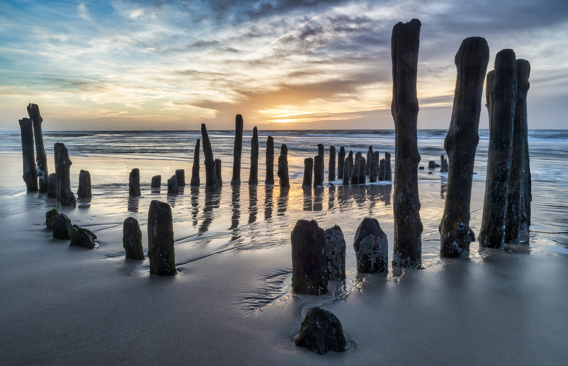 Wandbilder online bestellen