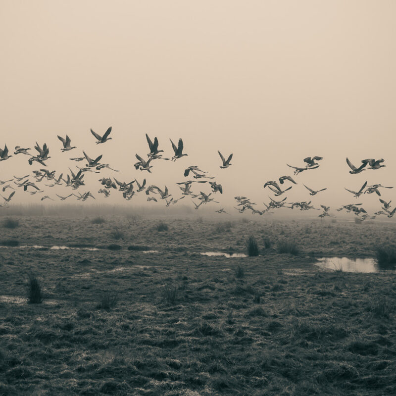 Aufbruch im Nebel