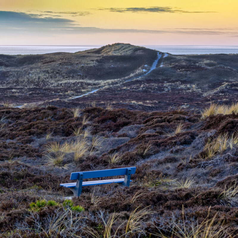 Die Farben von Sylt