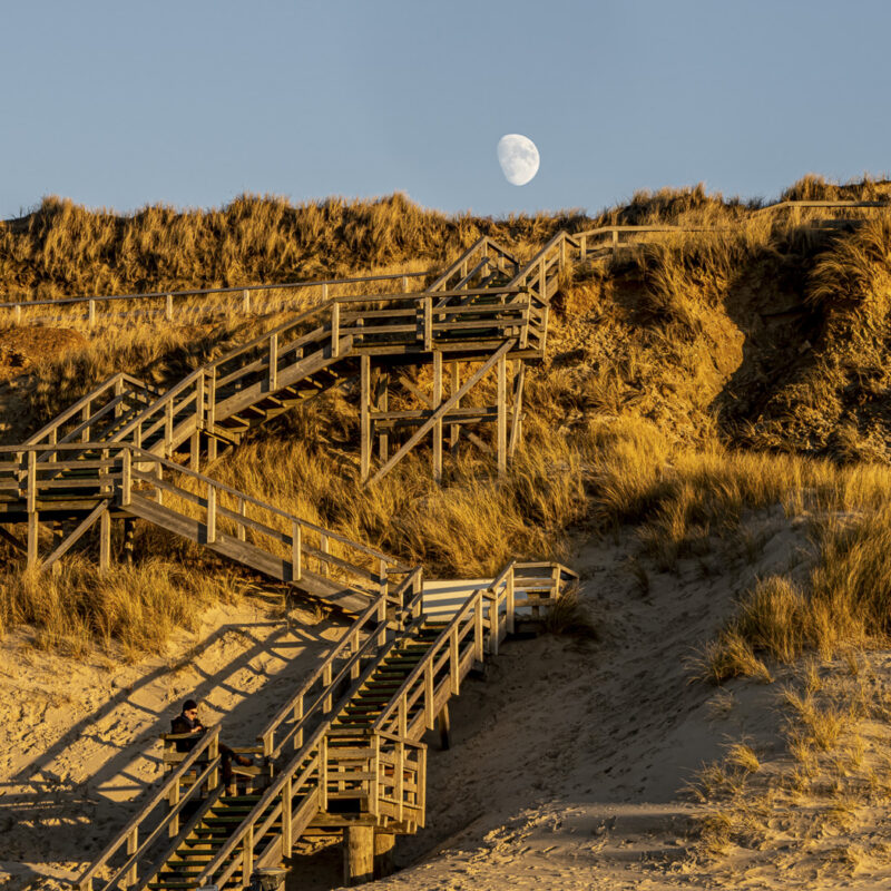 Golden Hour, Silver Moon