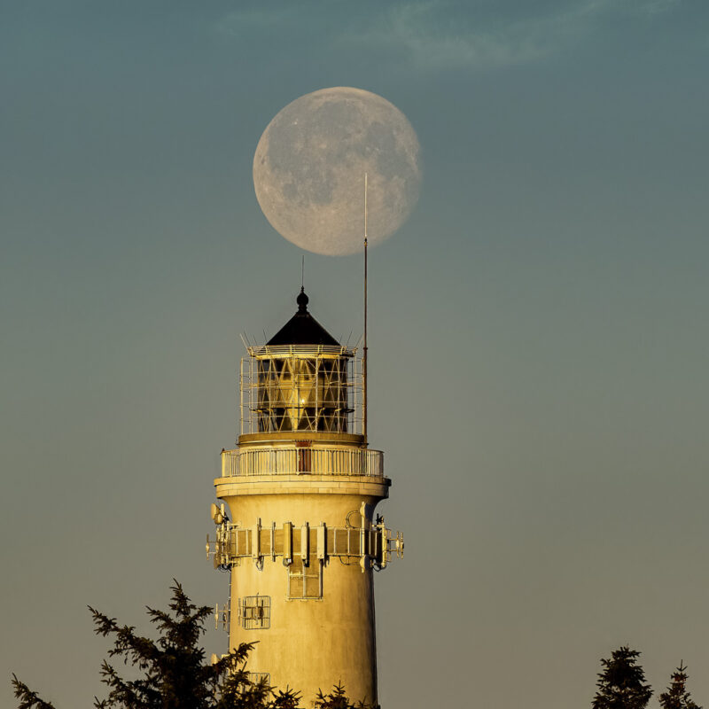 Guided by the Moon