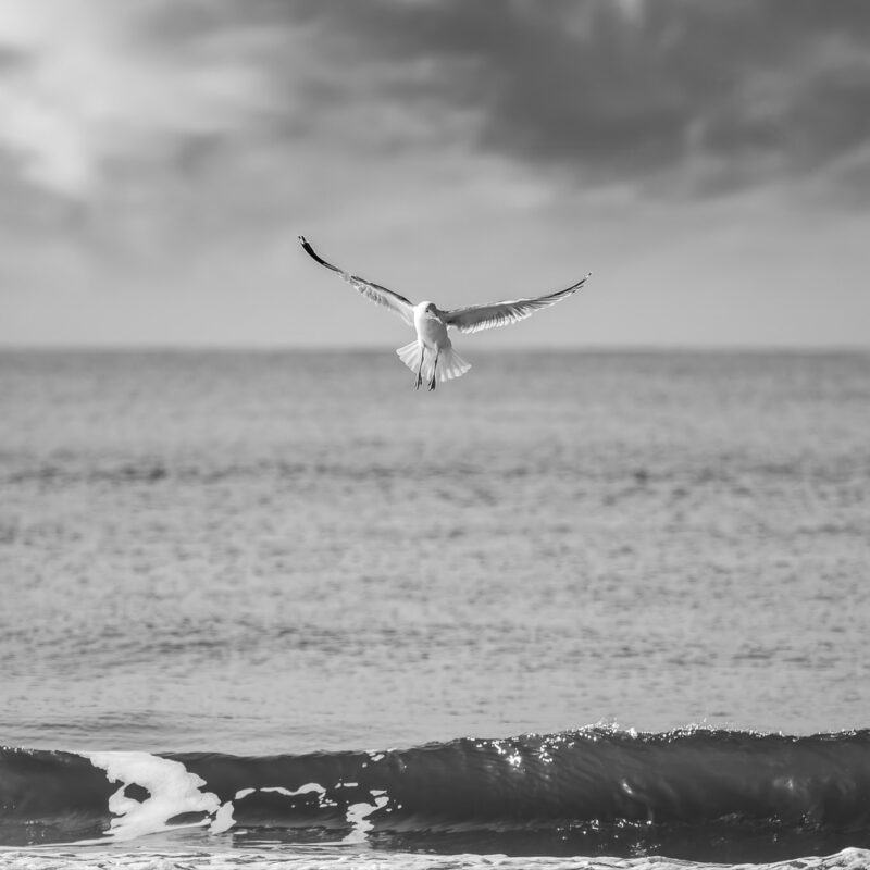 Stillflug