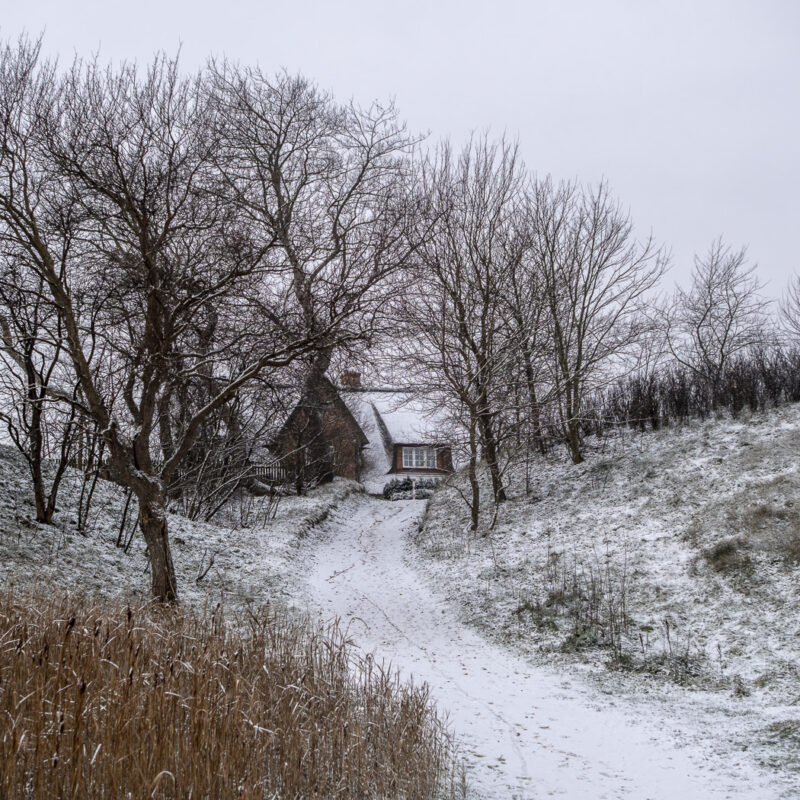 Versteckt im Schnee