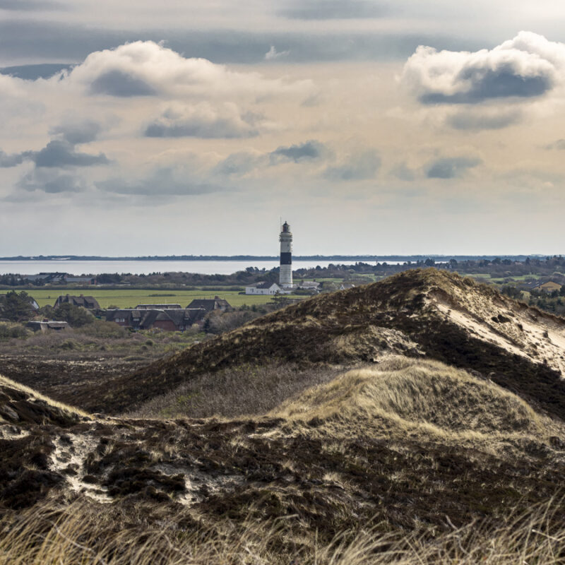 Wächter der Insel