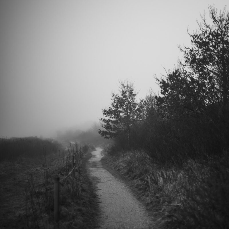 Im Nebel verloren