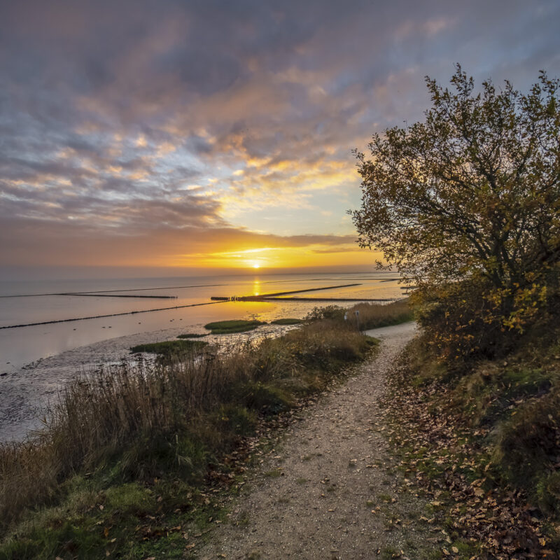 Novemberlicht am Watt