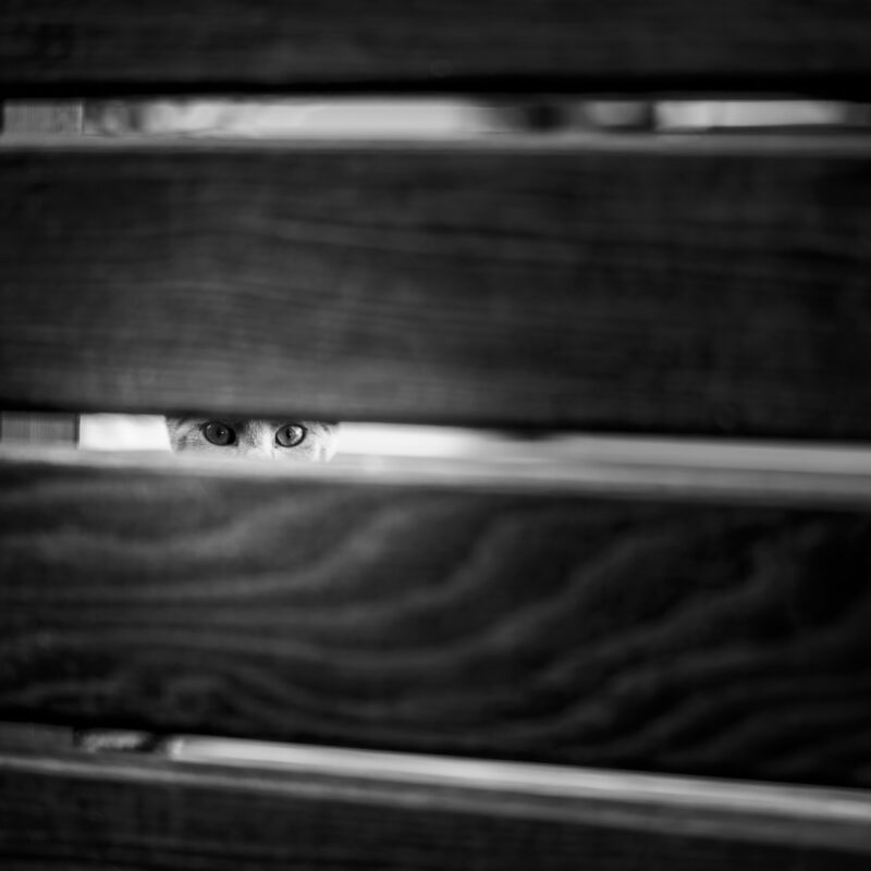 Watching You